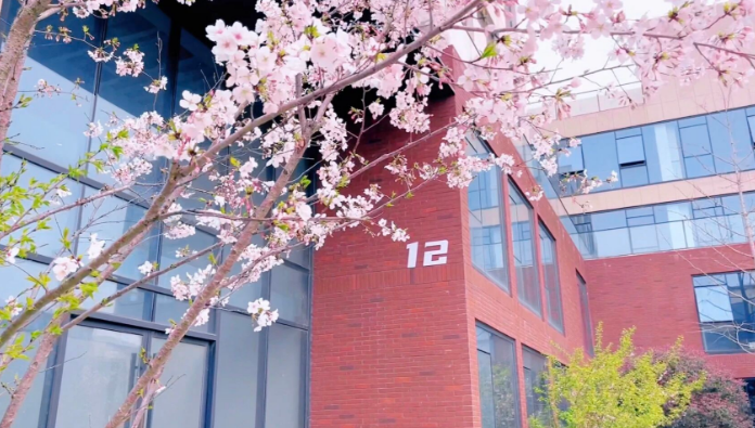 1775196671606696.png image.png